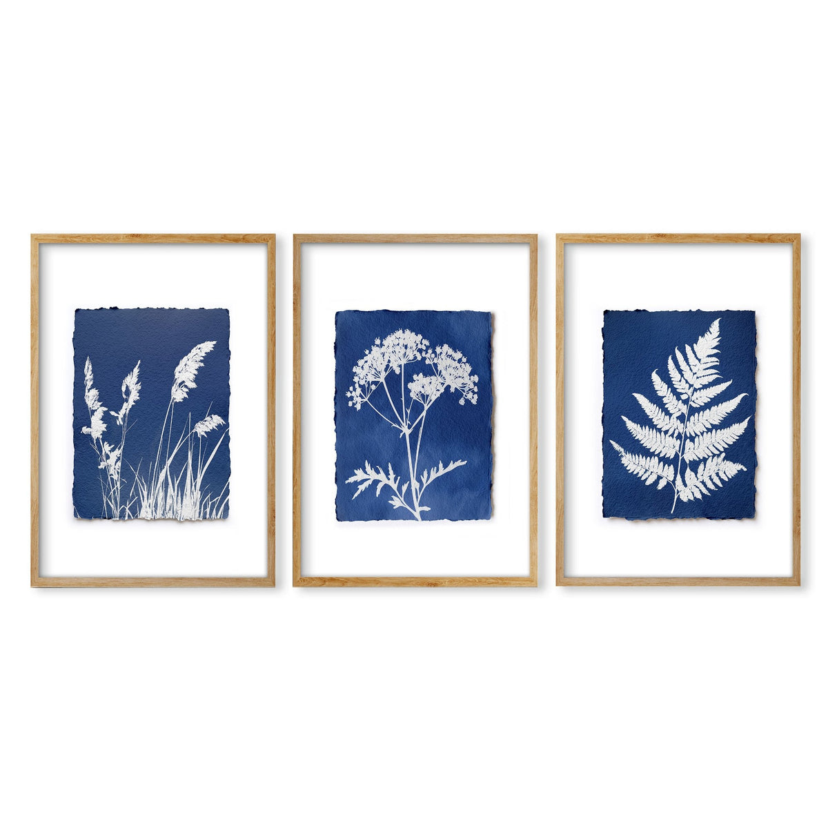 Wall Paintings for Kitchen Indigo Cyanotype Botanical Nature Prints | Set of 3