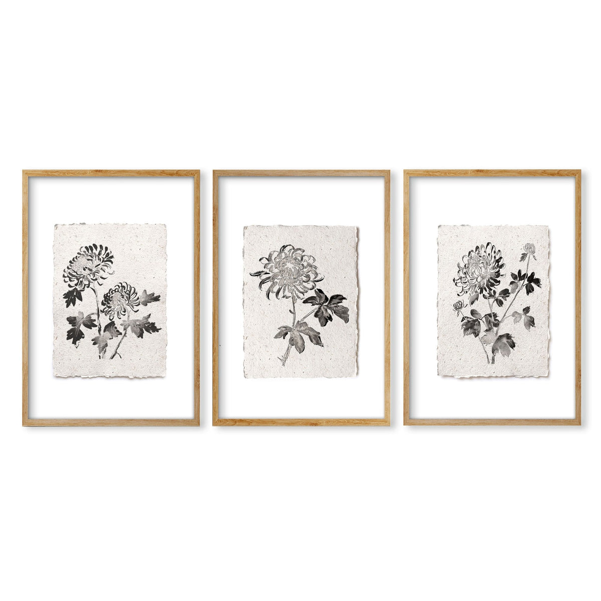 Dining Room Paintings Botanical Chrysanthemum Ink Study Wall Art Prints | Set of 3