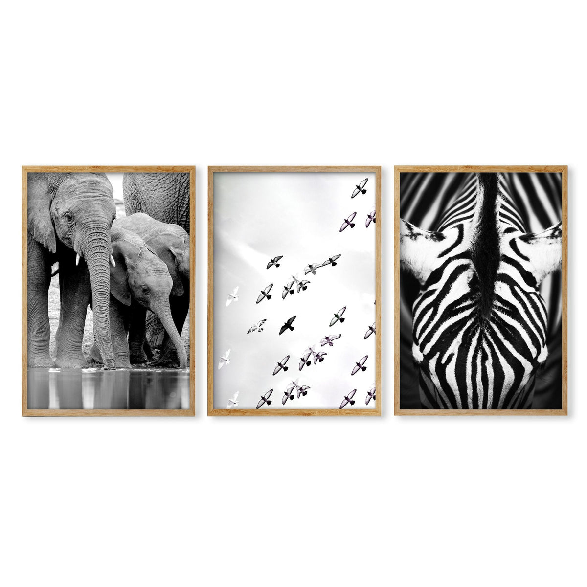 Black and White Photography Wildlife Wall Art Prints | Elephants, Birds & Zebra | Set of 3
