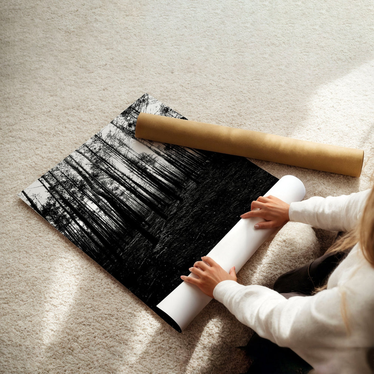 Wall Art for Grey Walls Living Room | Black & White Forest & Winter Landscape Photography Set of 3