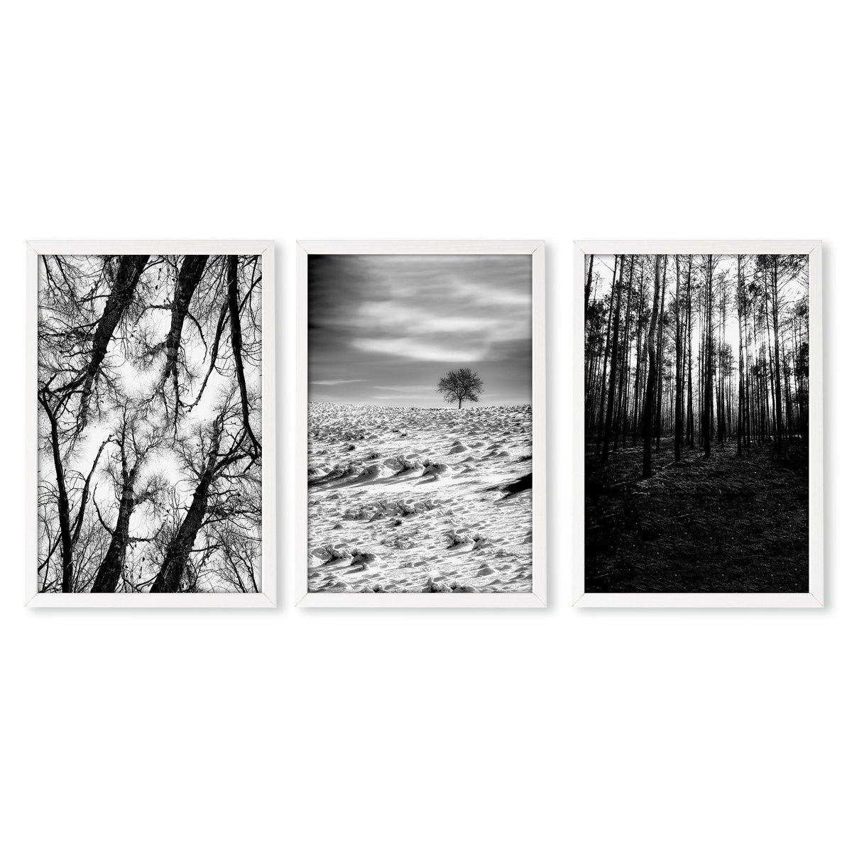 Wall Art for Grey Walls Living Room | Black & White Forest & Winter Landscape Photography Set of 3