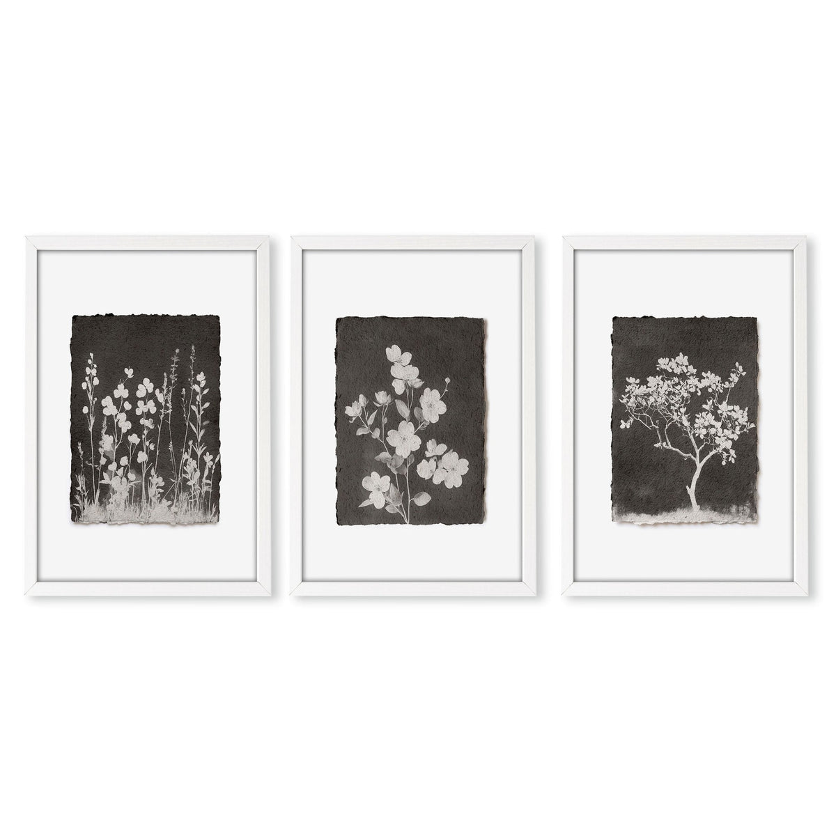 Brown Wall Art Rustic Botanical Wildflowers & Blossom Tree Prints | Set of 3
