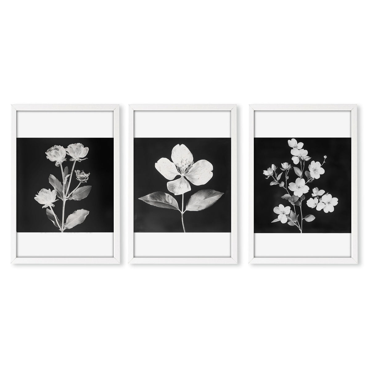 Black Framed Picture French Country Botanical Floral Wall Art Prints | Set of 3