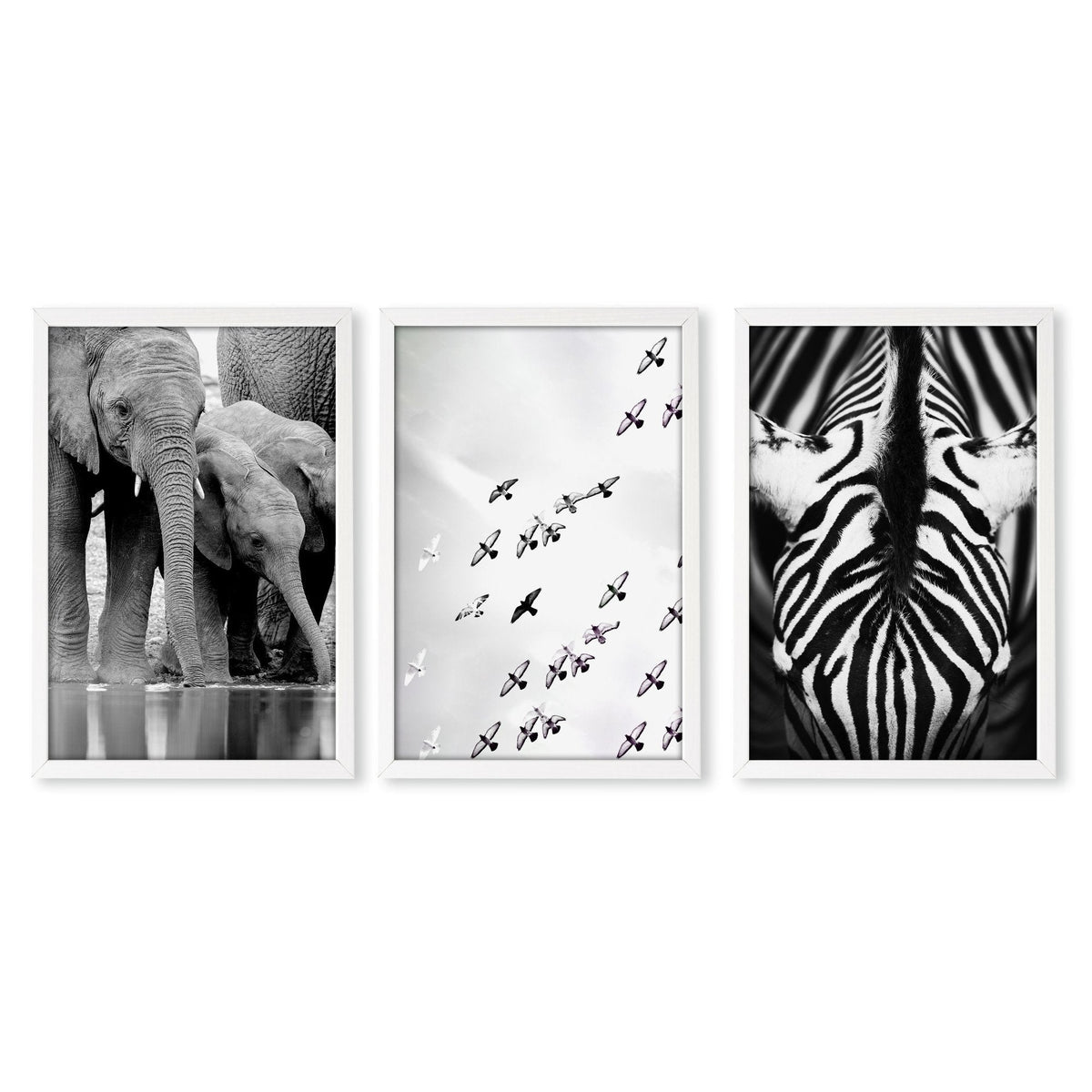Black and White Photography Wildlife Wall Art Prints | Elephants, Birds & Zebra | Set of 3