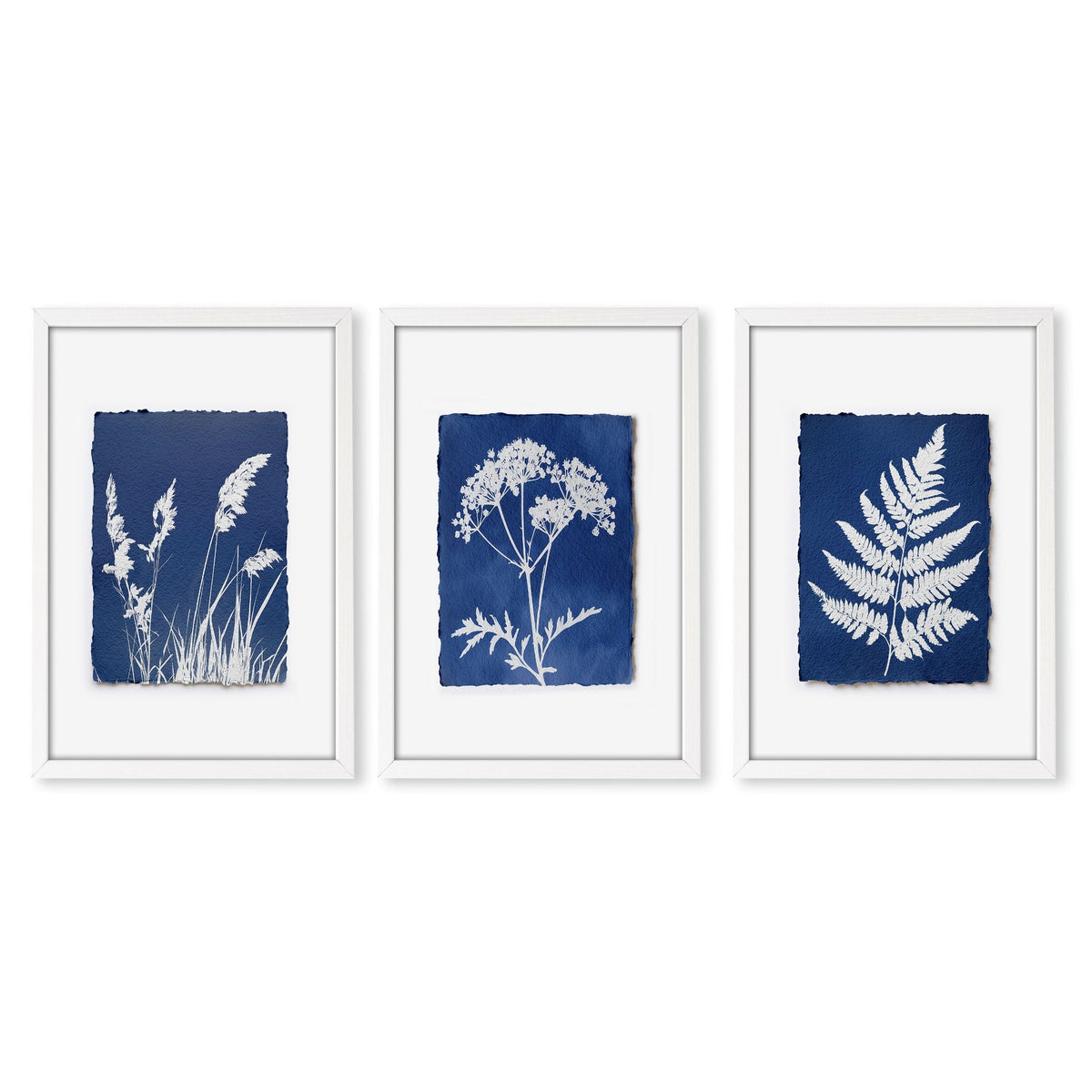 Wall Paintings for Kitchen Indigo Cyanotype Botanical Nature Prints | Set of 3
