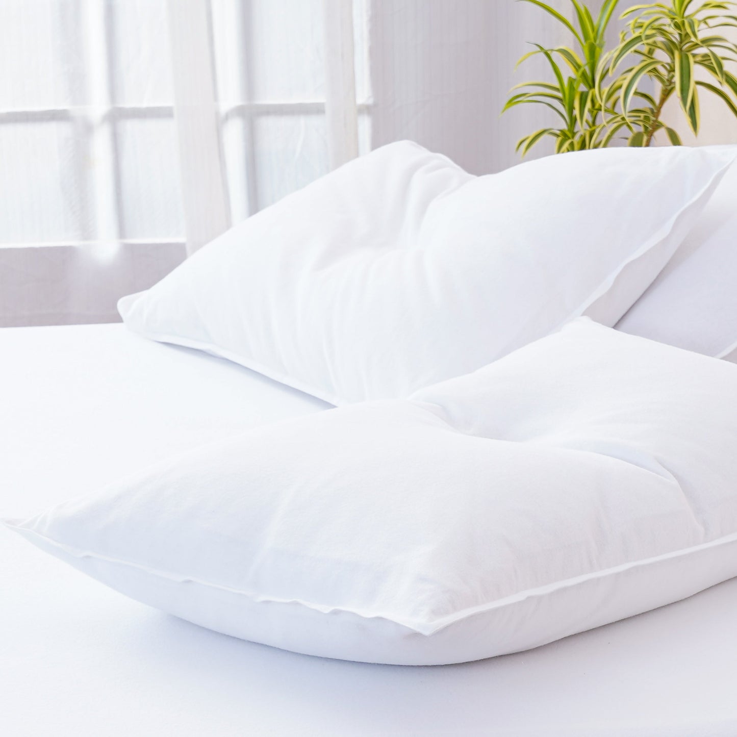 Bella Flannelette (Brushed Cotton) - White Pillowcases Pair