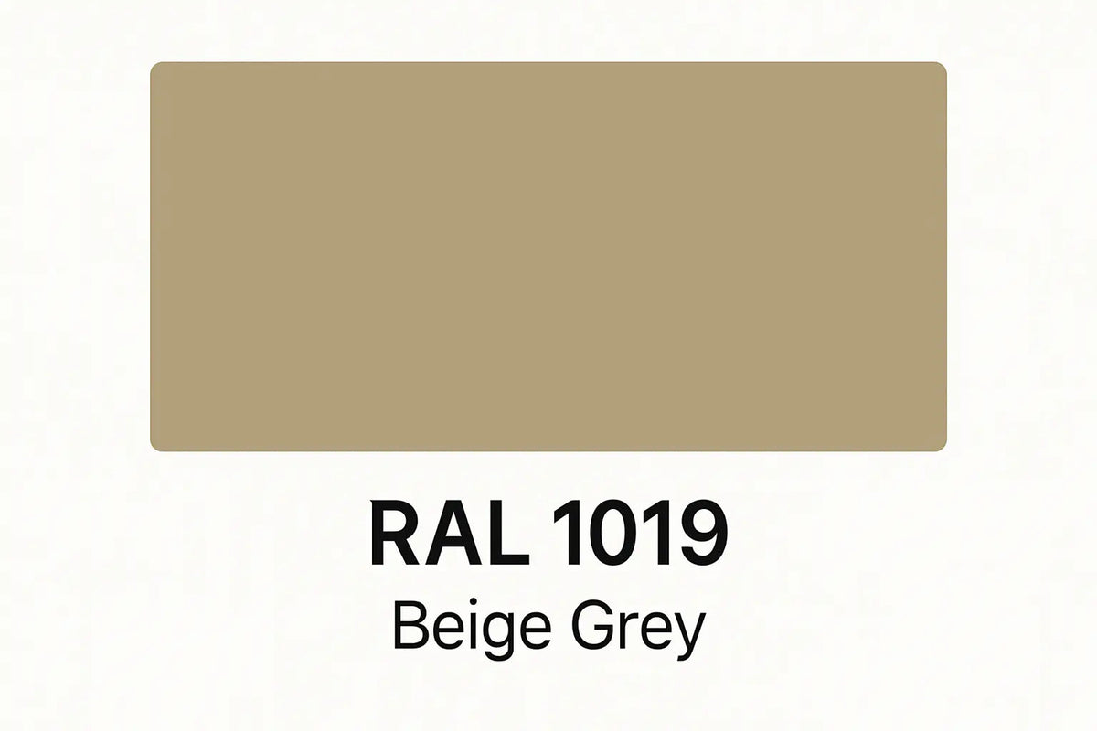 RAL 1019 Grey Beige - 400ml Aerosol Spray Paint Any Finish