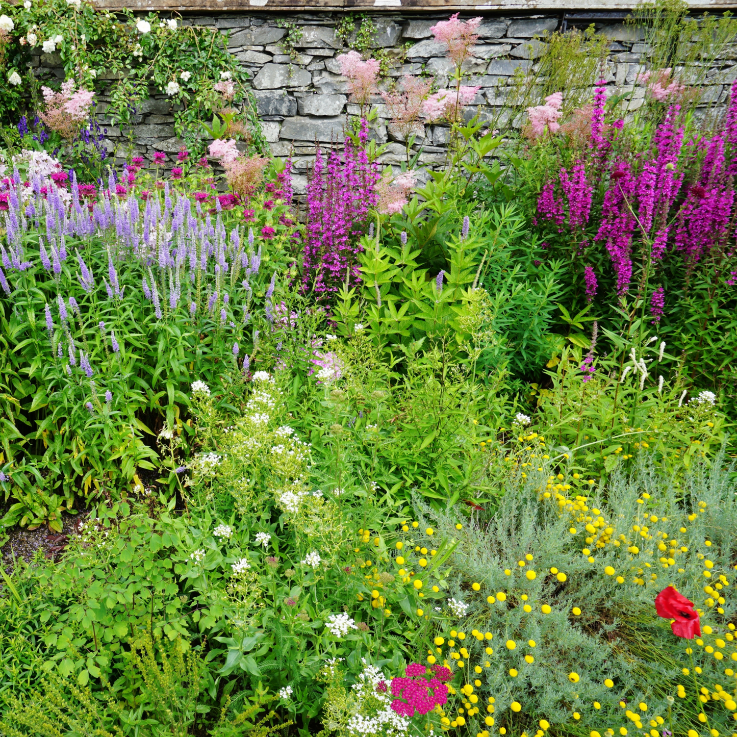 Cottage Garden Ready-Made Border