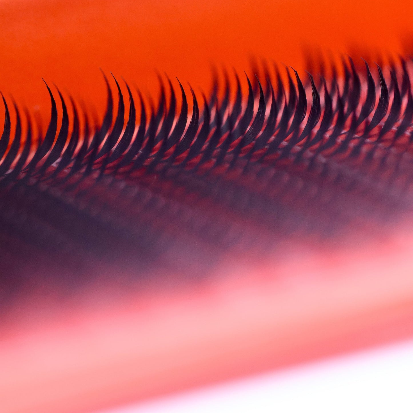 Anime Feather Lash Spikes 16 Row Tray