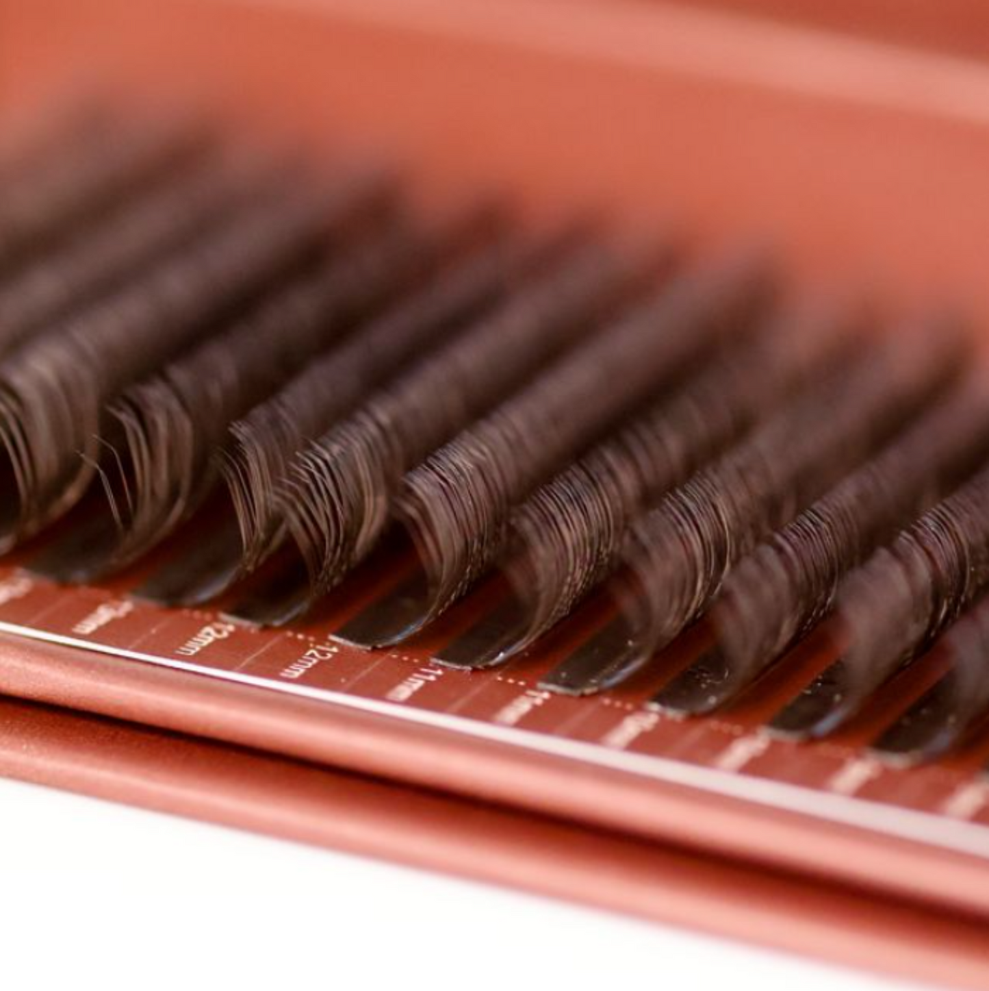 Brown Fairy Lashes – Mixed Tray