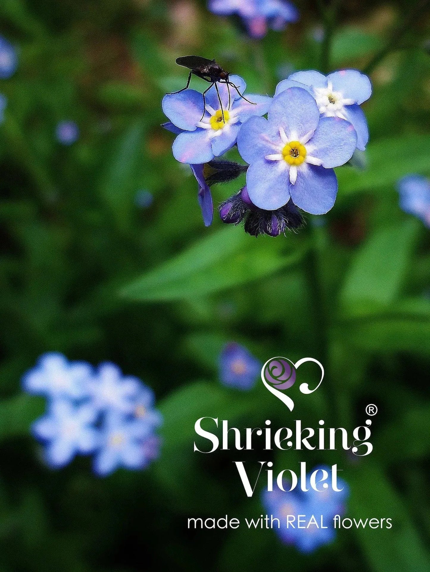 Silver Bracelet with Real Forget-Me-Not Flowers by Shrieking Violet®