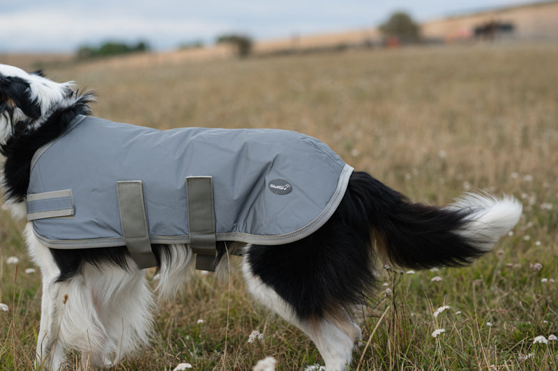Classic Waterproof Dog Coat 150g - Reflective Silver