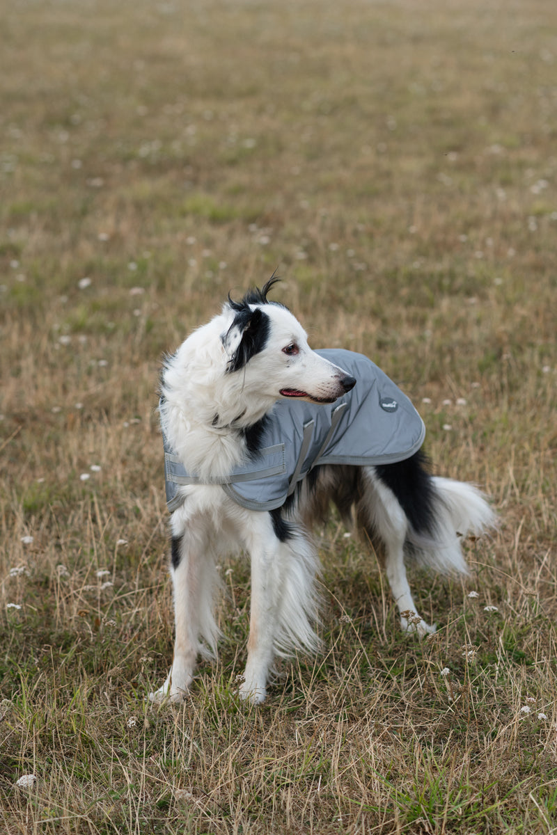Classic Waterproof Dog Coat 150g - Reflective Silver