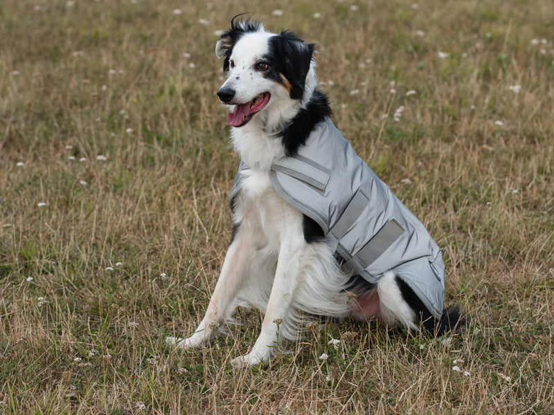 Classic Waterproof Dog Coat 150g - Reflective Silver
