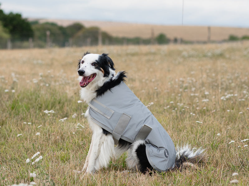 Classic Waterproof Dog Coat 150g - Reflective Silver