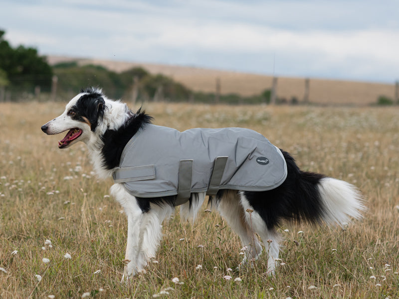 Classic Waterproof Dog Coat 150g - Reflective Silver