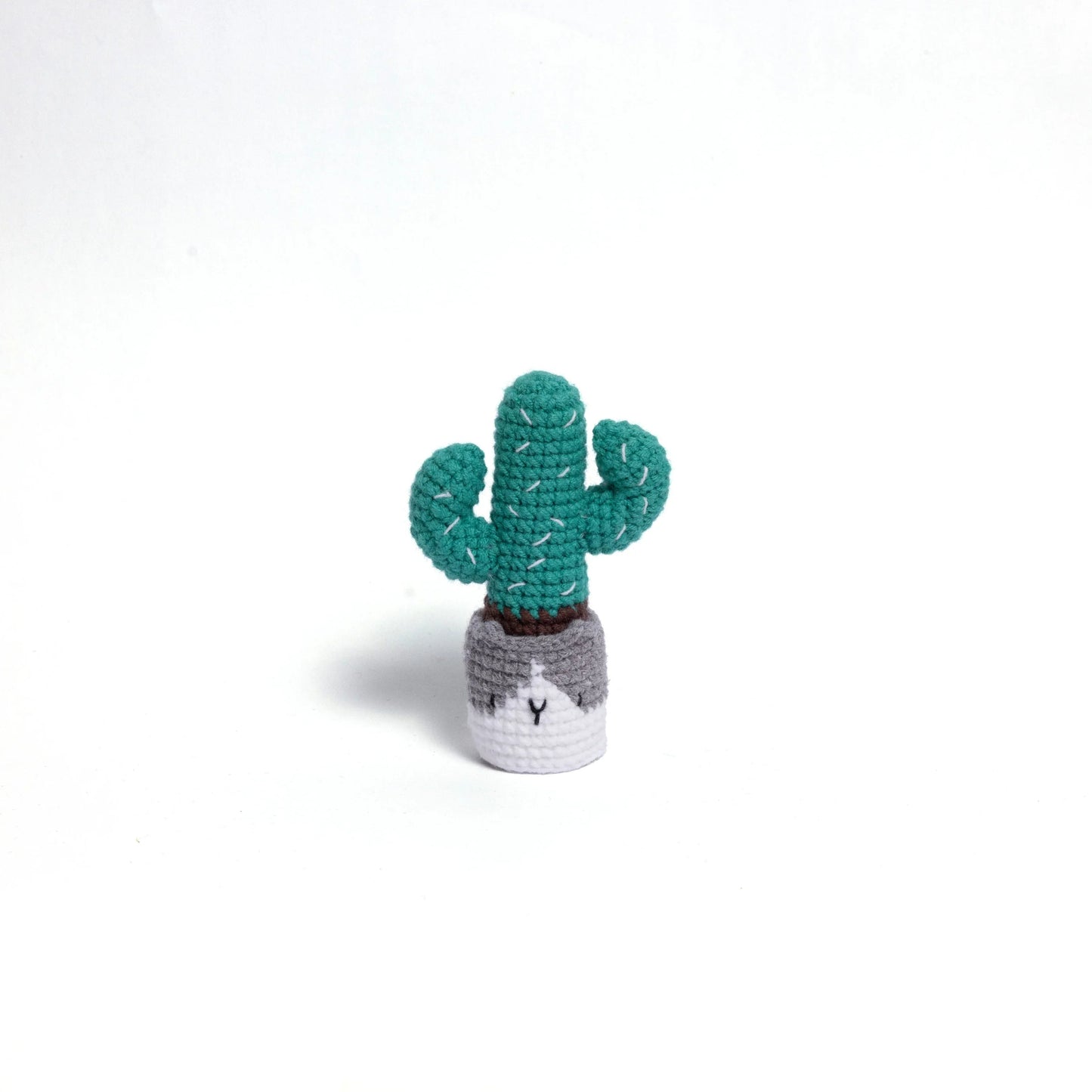 Irresistibly Cute Crochet Cactus Family – Lovable Succulent Amigurumi Plush Collection