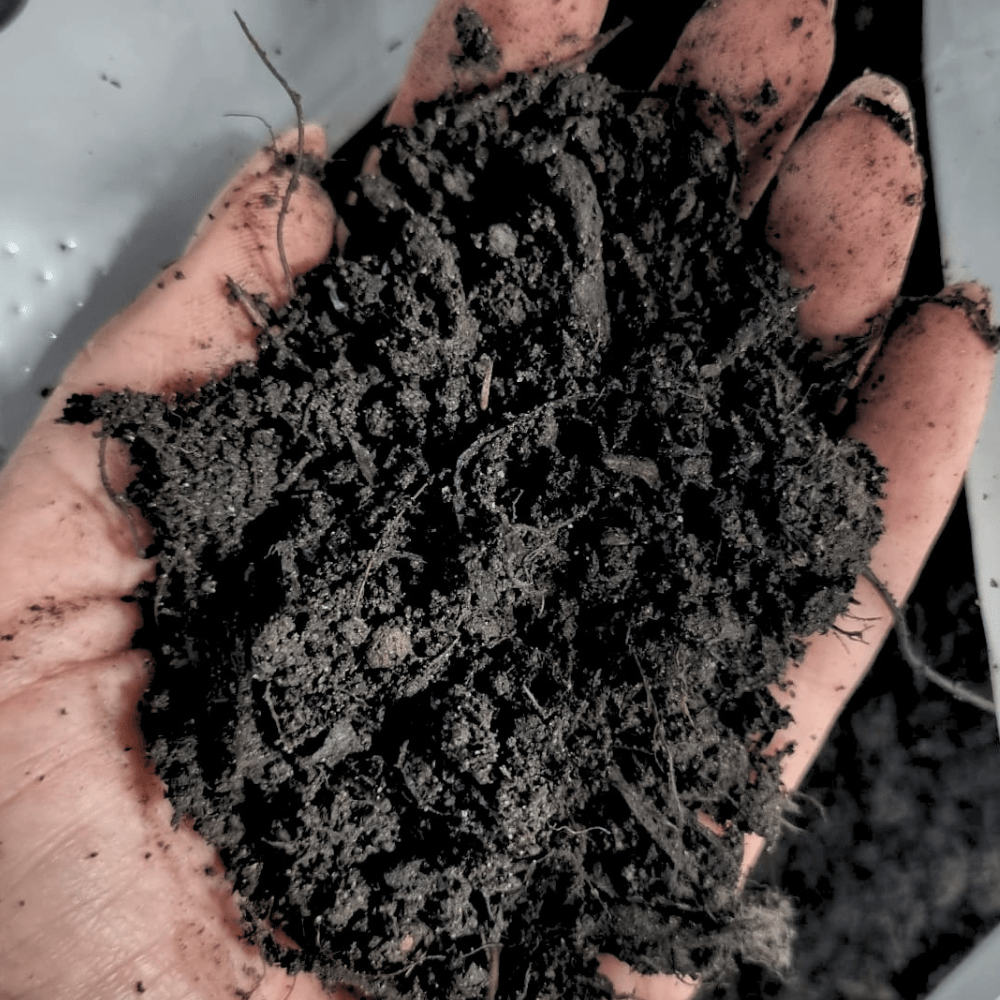 Soil Improver Conditioner
