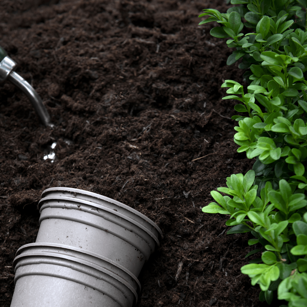 Soil Improver Conditioner