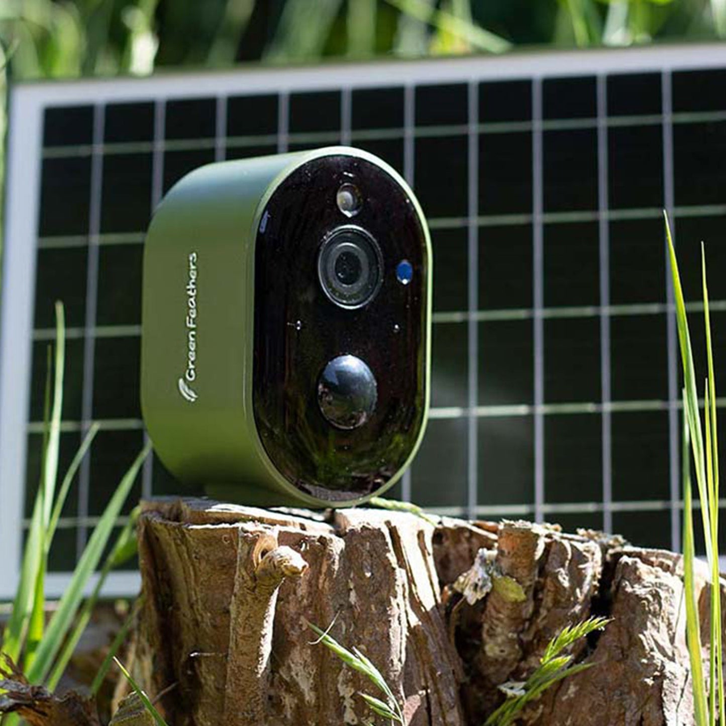 Solar Powered WiFi Bird Box HD Camera Complete Pack