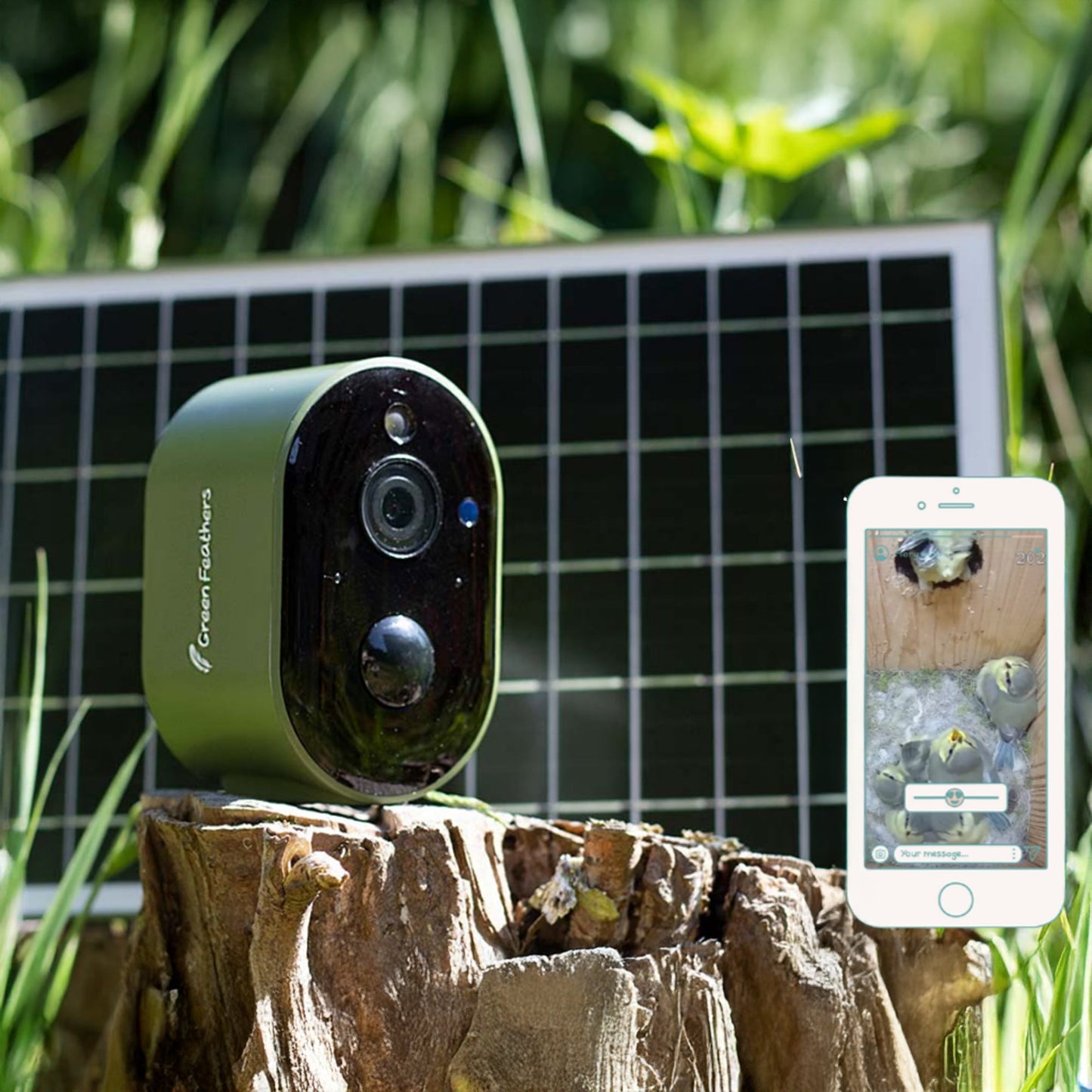 Solar Powered WiFi HD Camera for Bird Box & Wildlife Habitats
