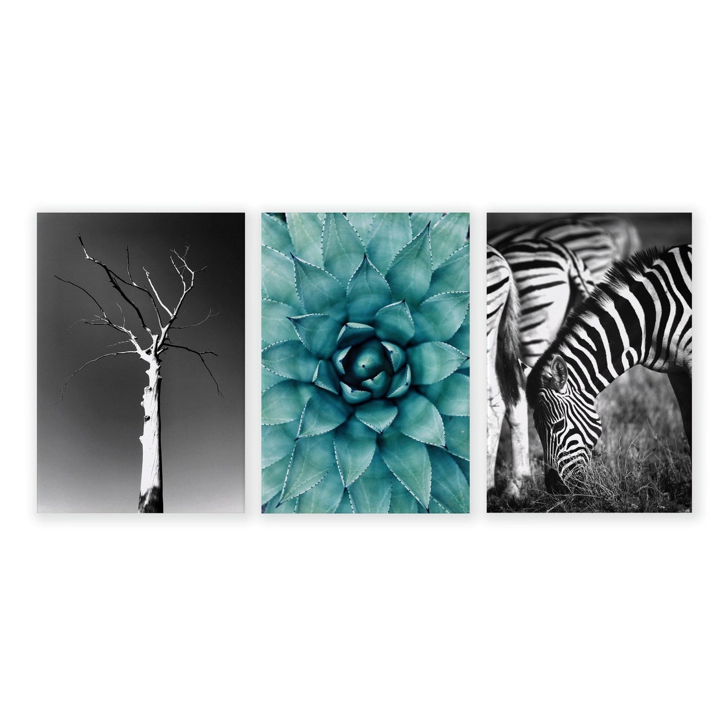 Soothing Wall Art | Set of 3 African Wildlife Wall art Prints