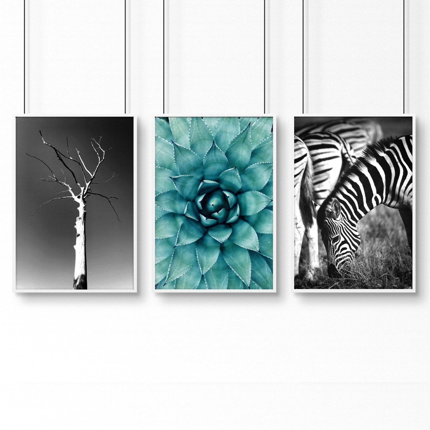 Soothing Wall Art | Set of 3 African Wildlife Wall art Prints