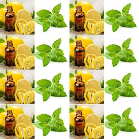 Natural Deodorant Bar with Spearmint and Lemon