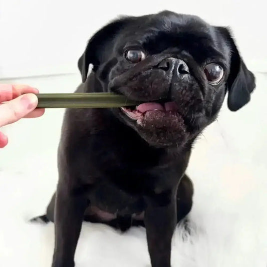 Spinach & Cranberry Chew Stick Vegetable Chew For Dogs