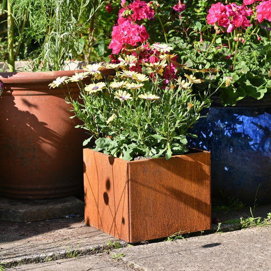 Rusty Square Plant Pot