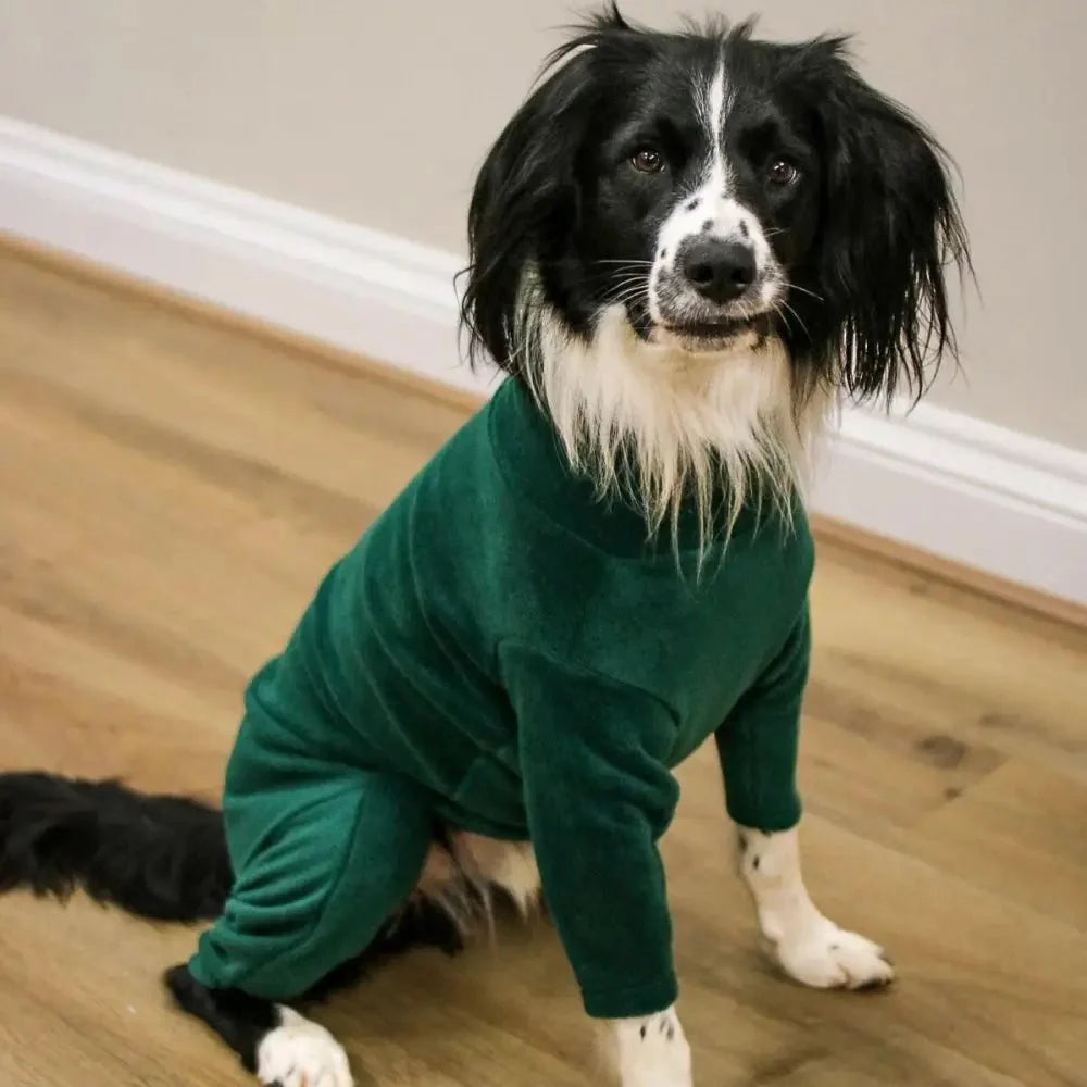 Standard Size Fleece Dog Jumpsuit - Ready to Ship