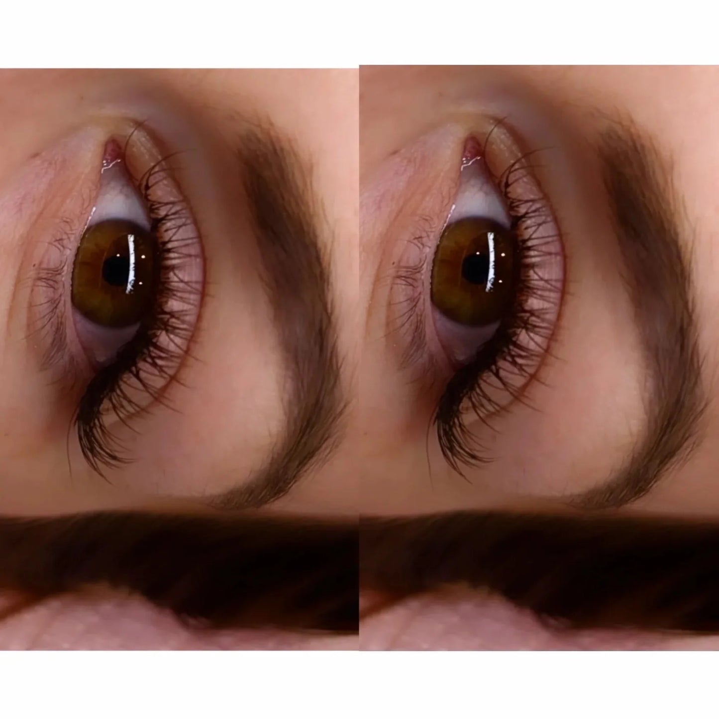Brown Cashmere Flat Classic Lashes – Mixed Tray