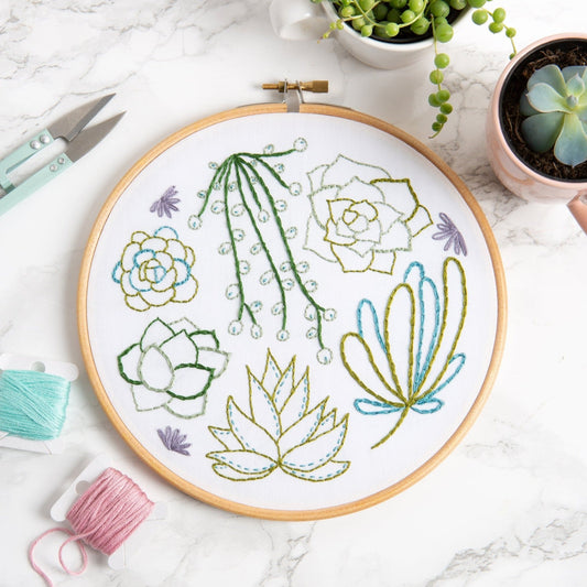 'Succulents' Botanical Embroidery Kit for Beginners