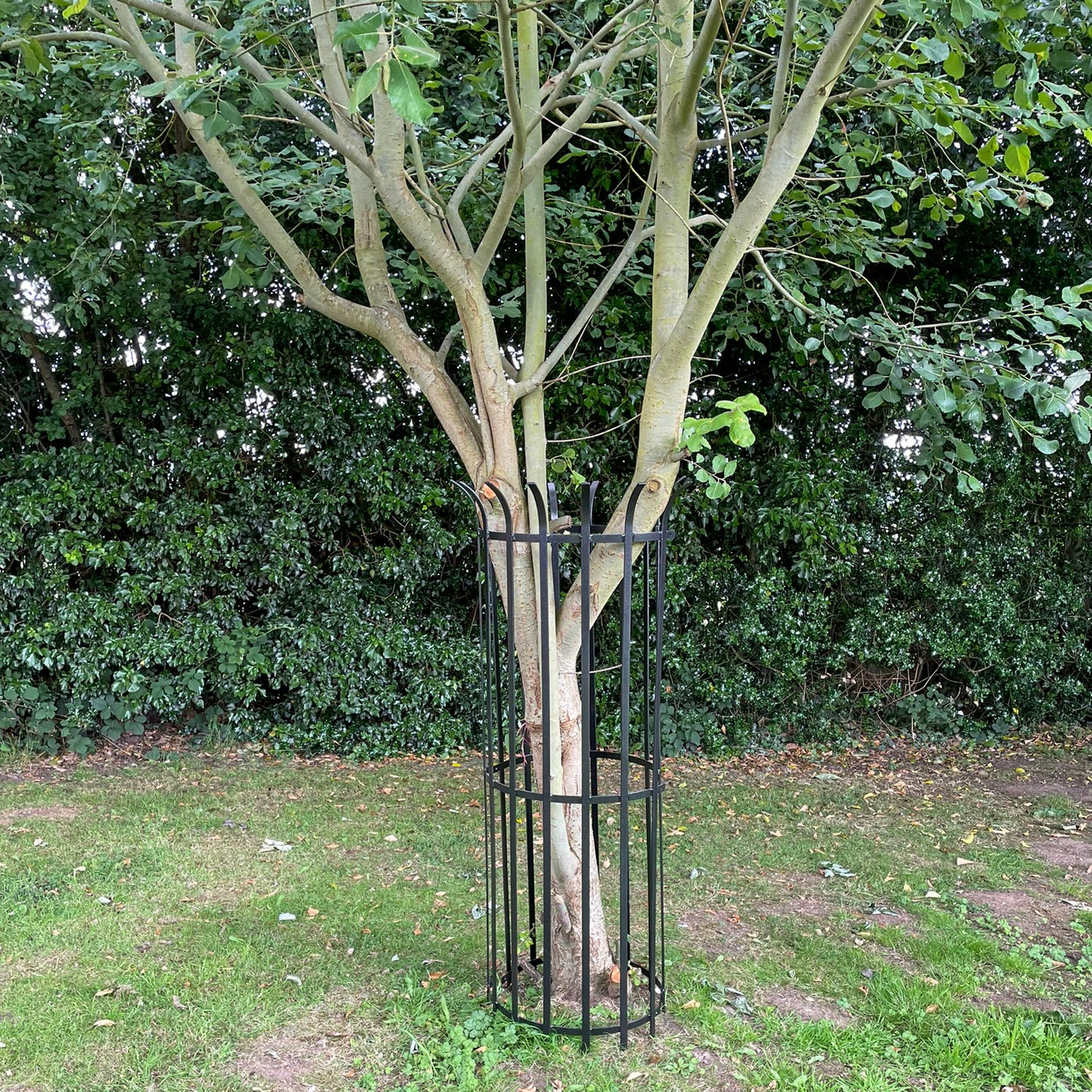 PoppyForge Tree Guard 450
