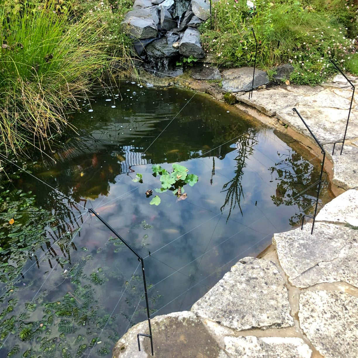 PoppyForge Pond Pest Protection Stakes (pack of 10)