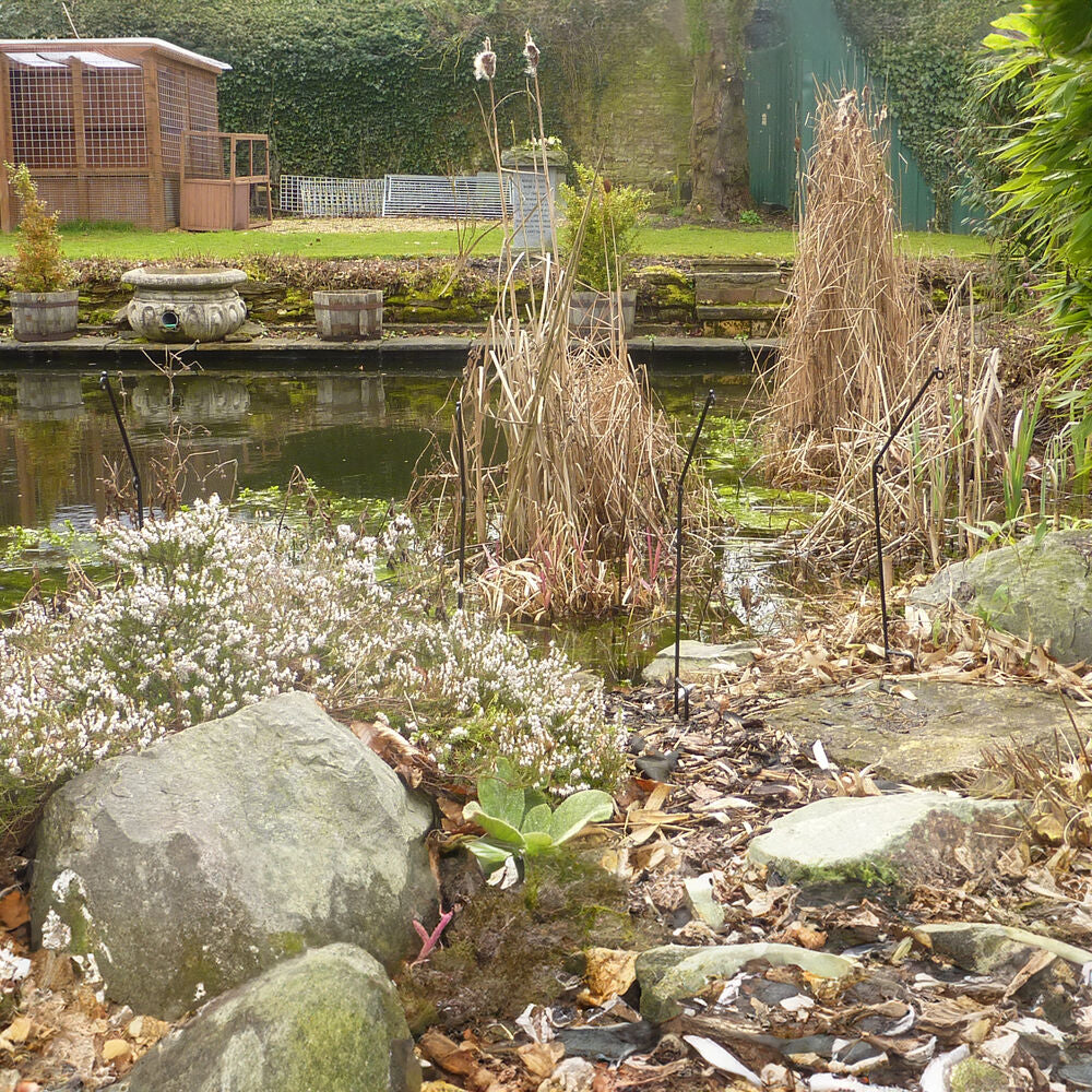 PoppyForge Pond Pest Protection Stakes (pack of 10)