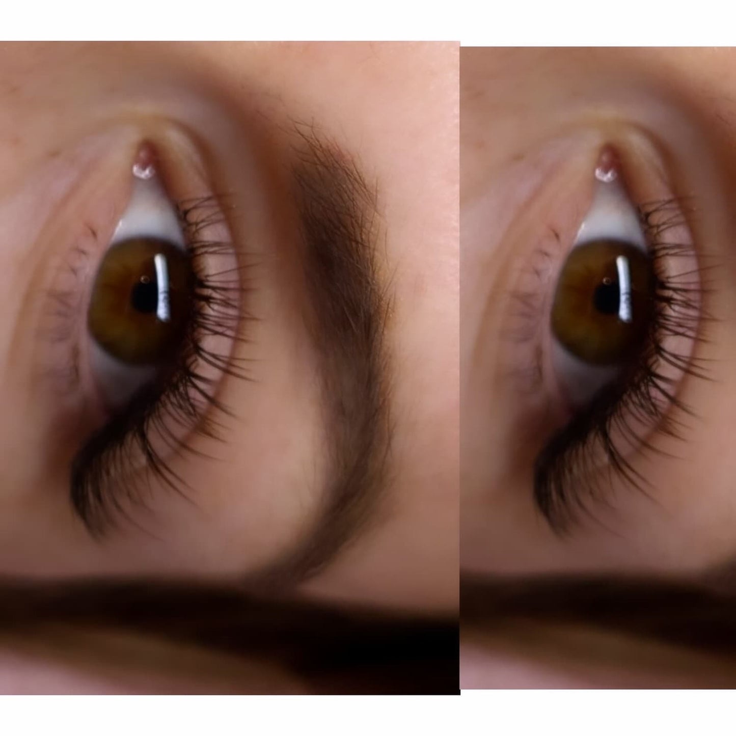 Brown Cashmere Flat Classic Lashes – Mixed Tray