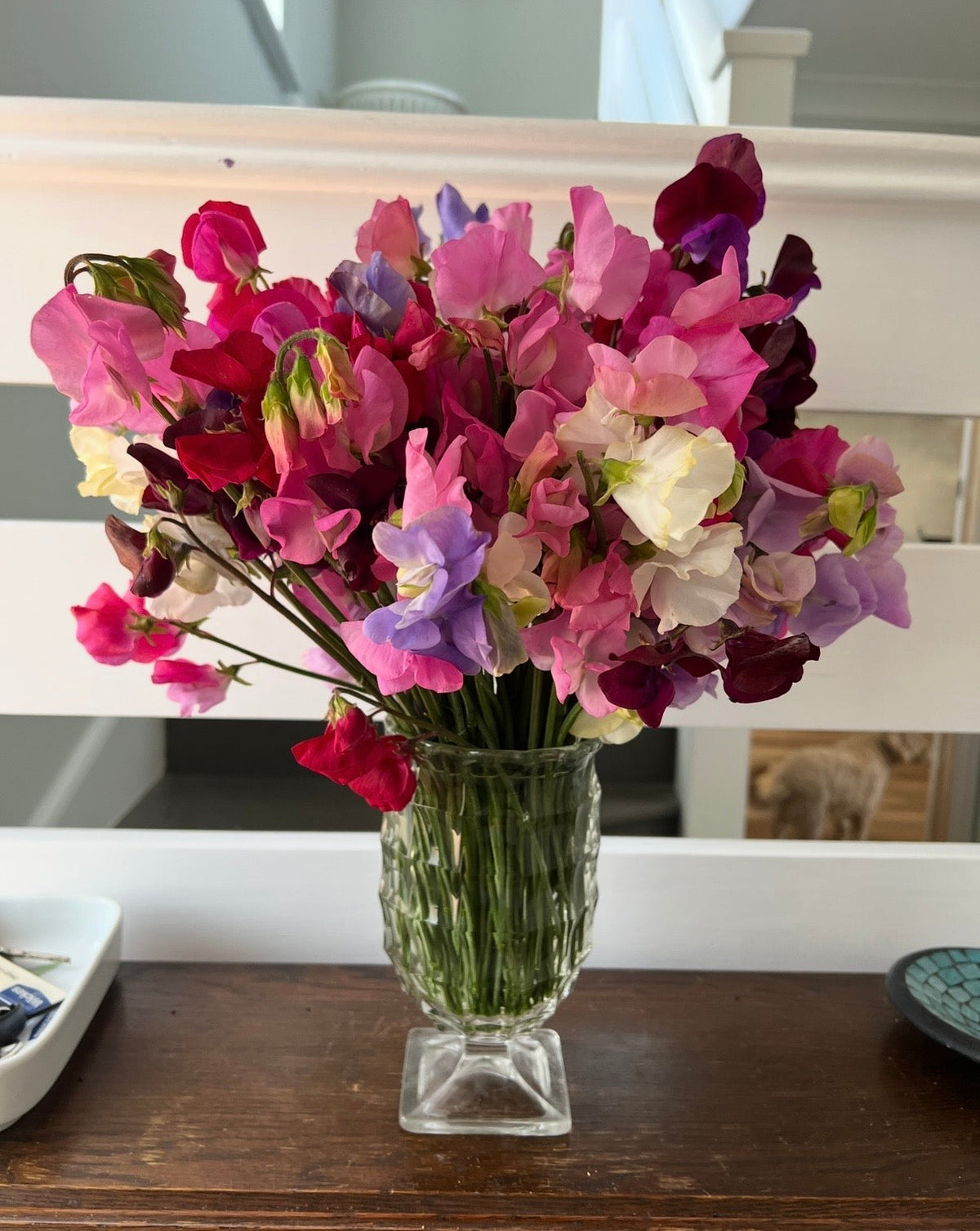 Sweet Pea Bishy Barnabee Mix