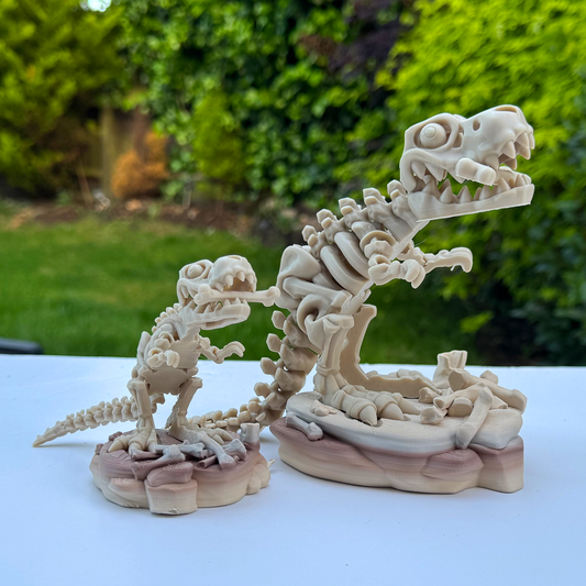 Articulated T-Rex Skeleton | 3D Printed Tyrannosaurus Rex Fossil Figure | Dino Model | Desk Toy for Dino Lovers