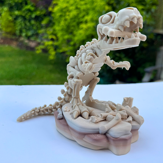 Articulated T-Rex Skeleton | 3D Printed Tyrannosaurus Rex Fossil Figure | Dino Model | Desk Toy for Dino Lovers