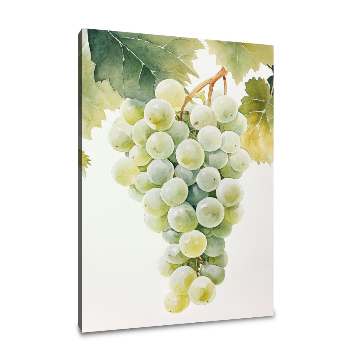 Vintage Vineyard Canvas