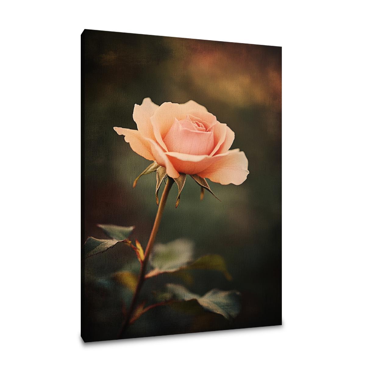 Nostalgic Rose Canvas