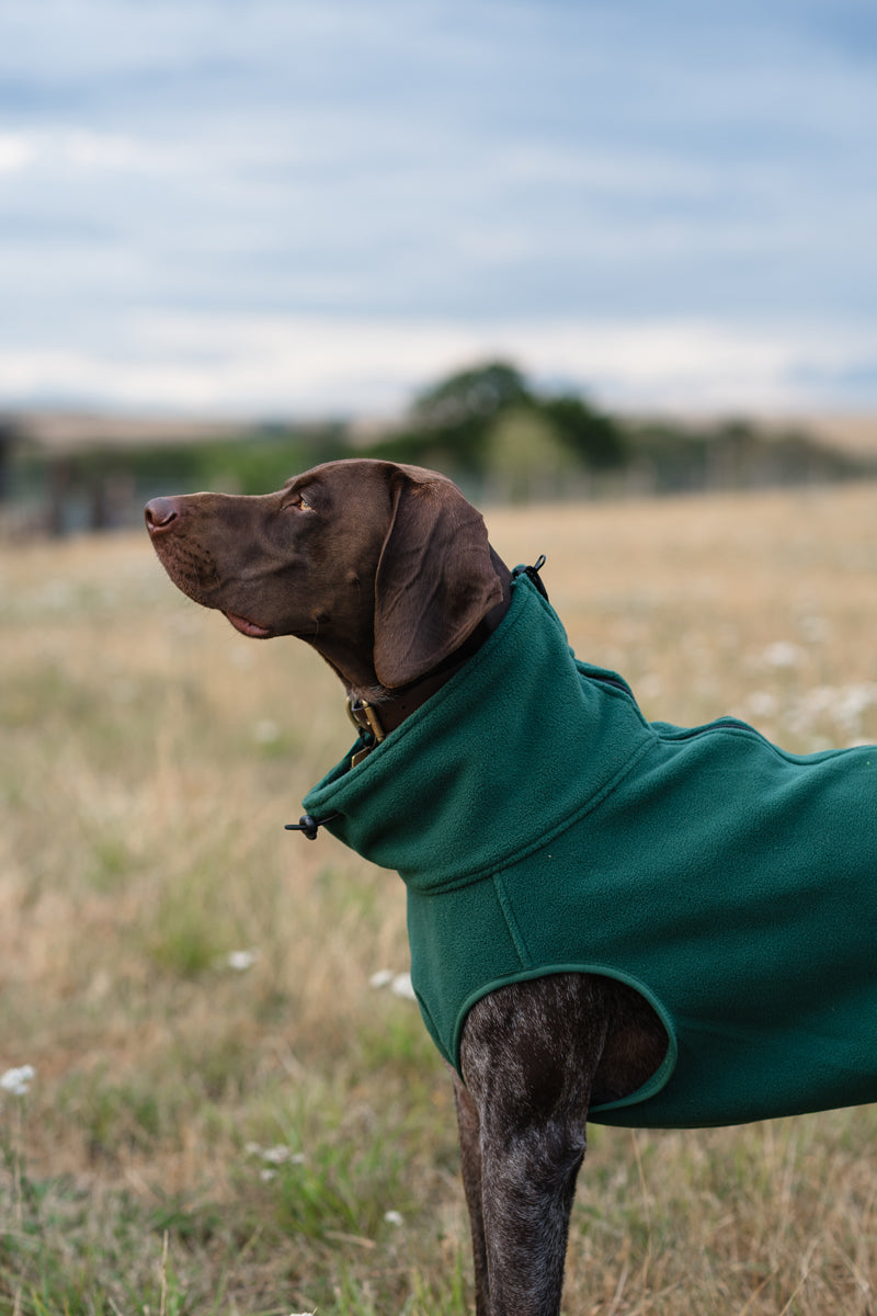 Fleece Dog Coat - Hunter Green