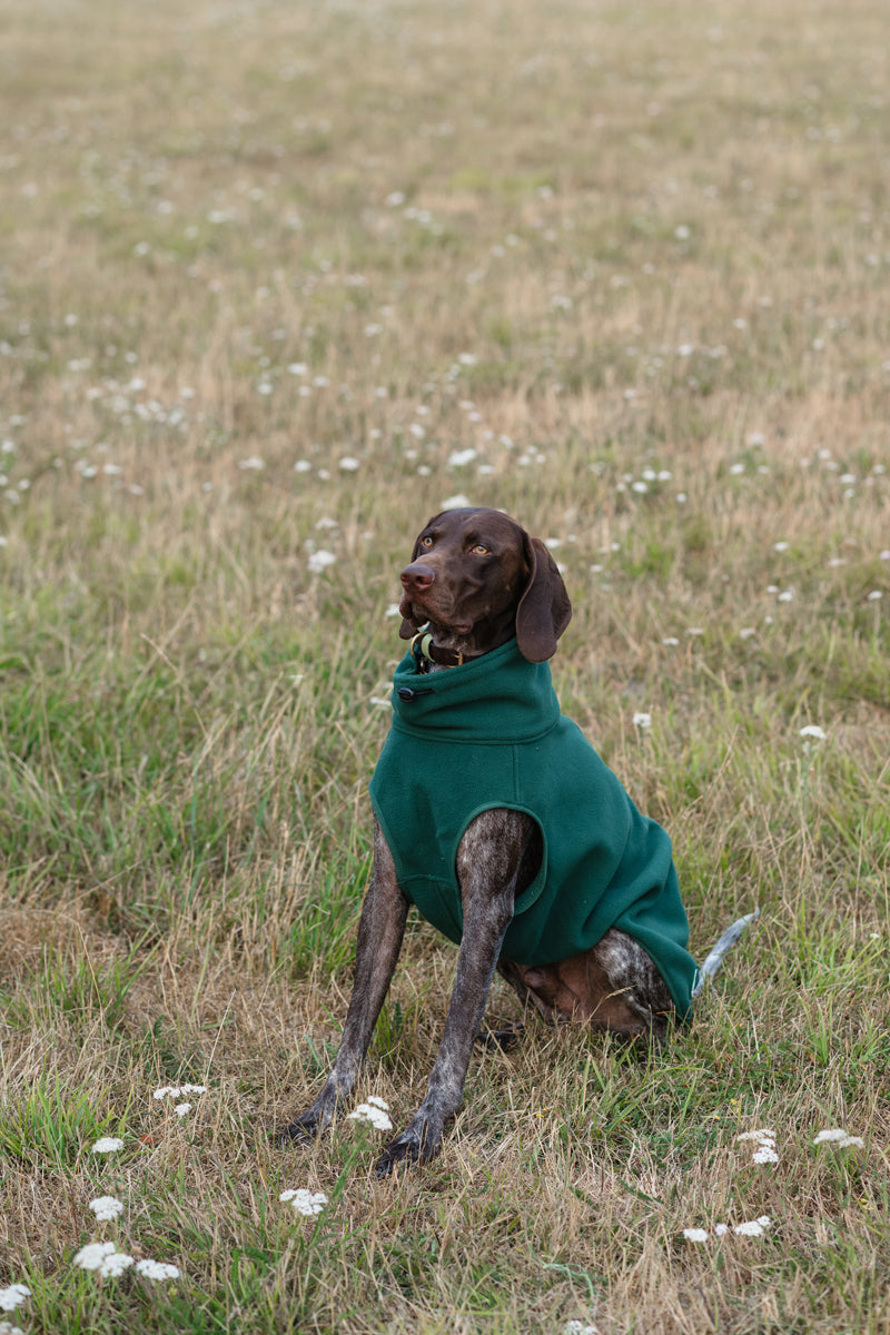 Fleece Dog Coat - Hunter Green