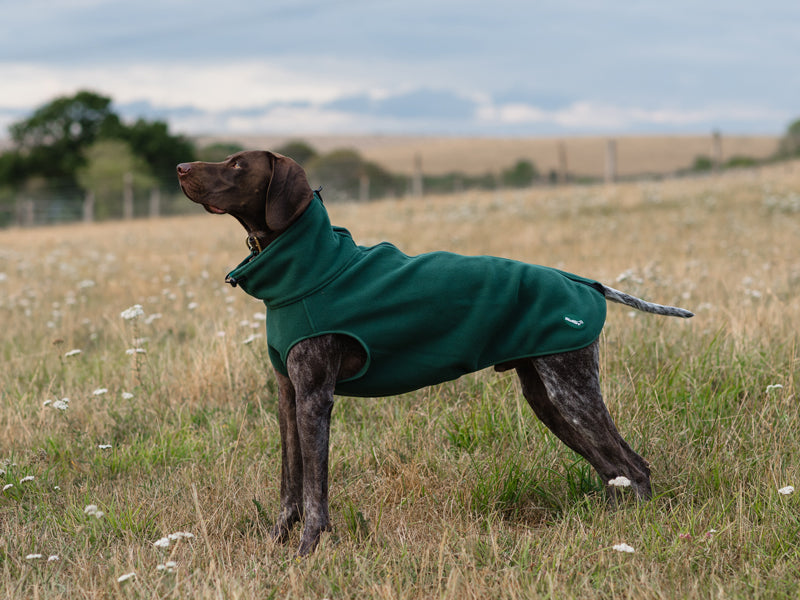 Fleece Dog Coat - Hunter Green