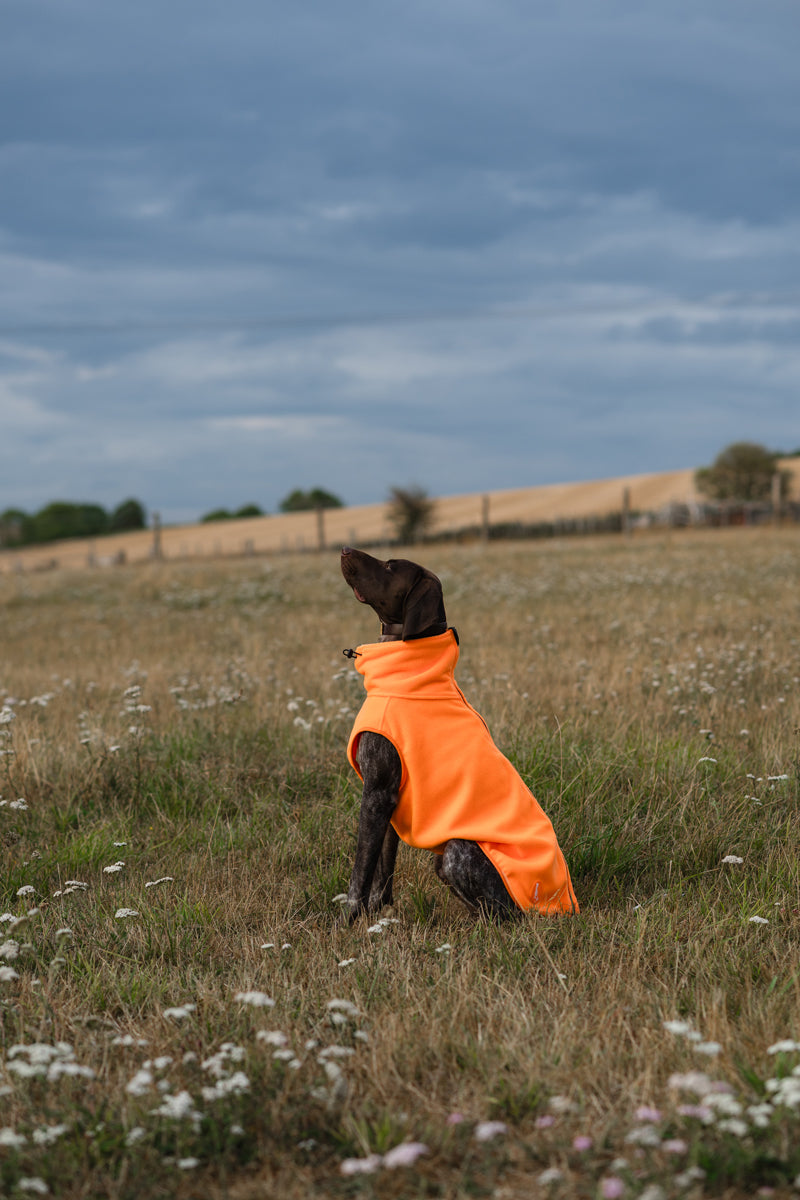 Fleece Dog Coat - Orange