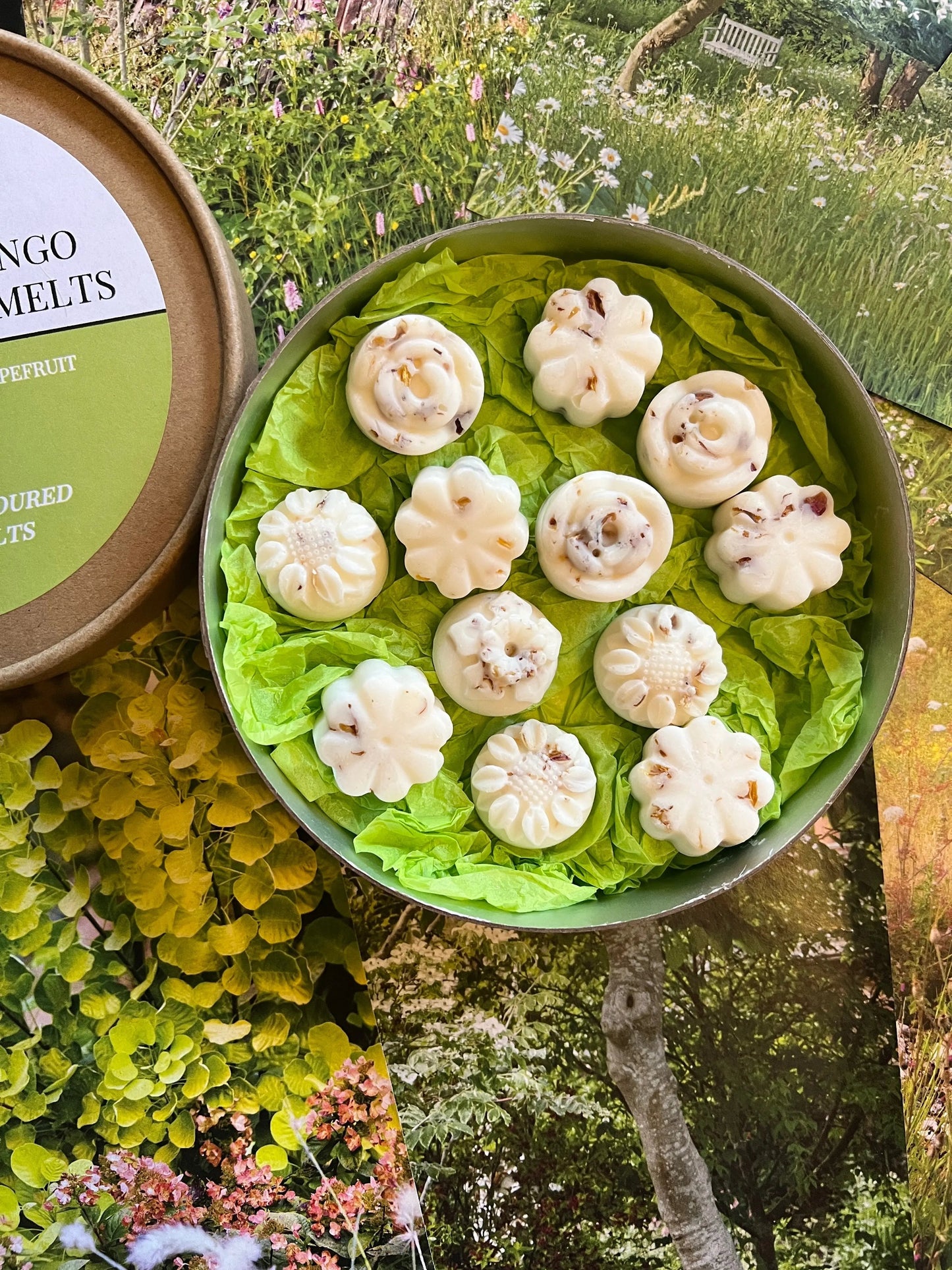 Thai Lime & Mango Botanical Wax Melts