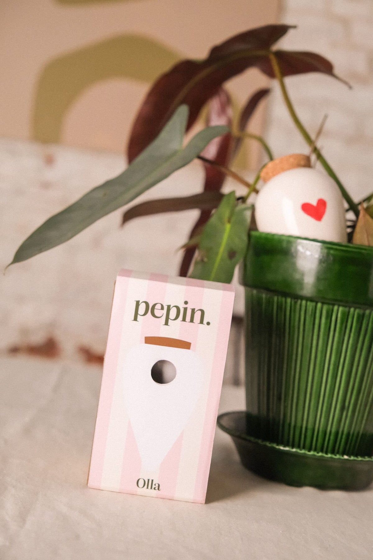 Heart Pepin Olla in a houseplant next to its pink Pepin gift box