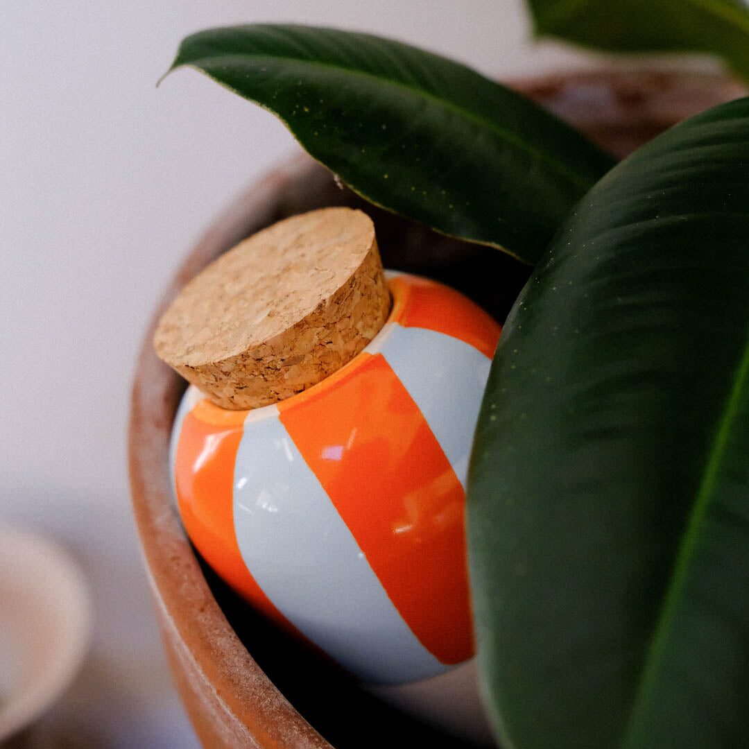 Orange and blue striped Pepin Olla in a terracotta plant pot