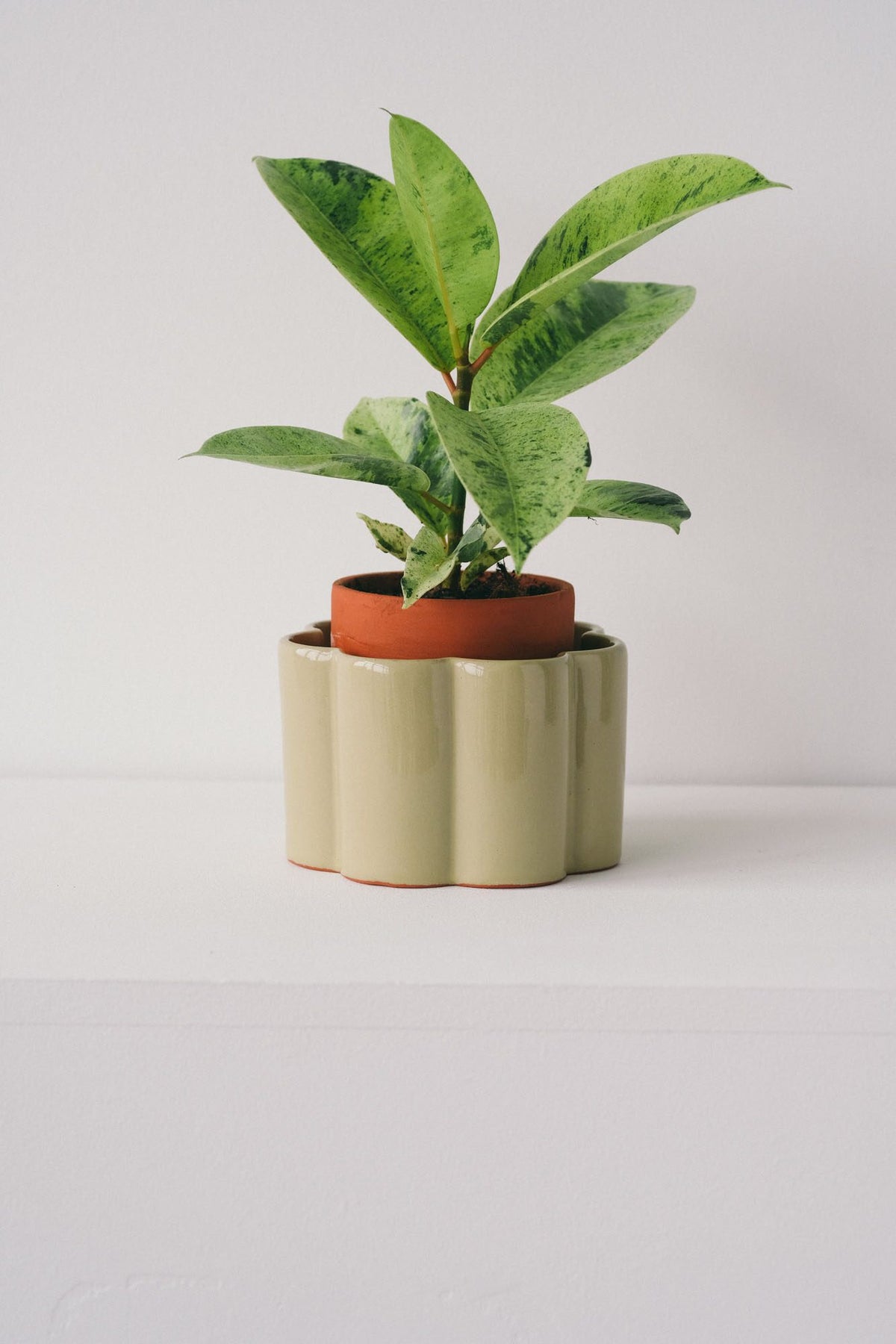 Sage green Pepin Paulita self-watering pot with a pothos plant